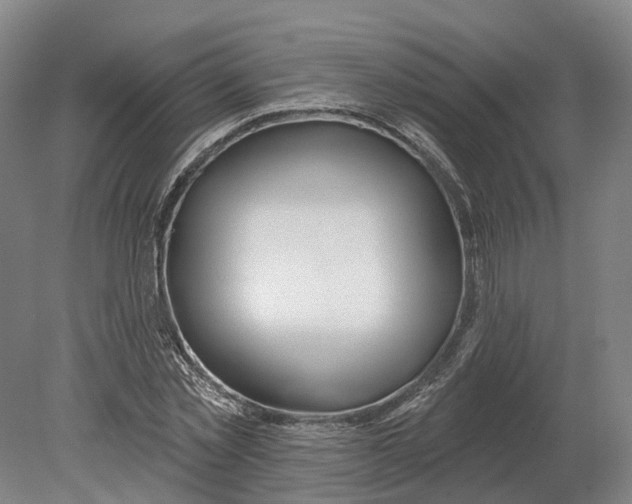 X0000080790781200701051352