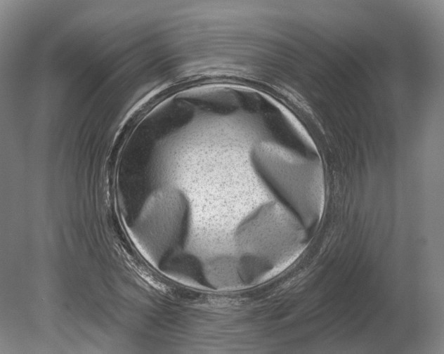 X0000080790782200701051352