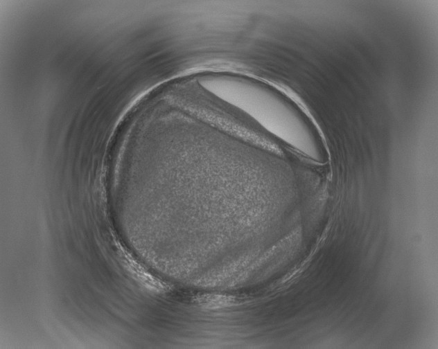 X0000080790783200701051352