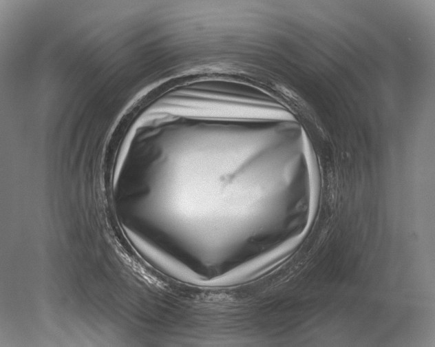X0000080790784200701051352