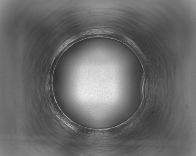 X0000080790786200701051352