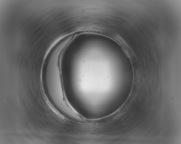 X0000080790788200701051352