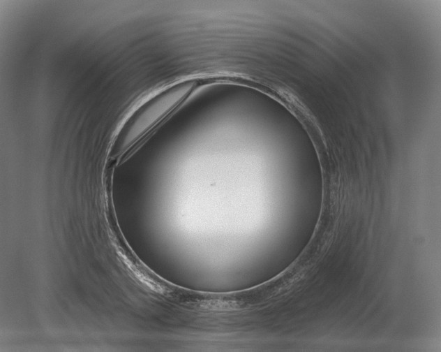 X0000080790789200701051352