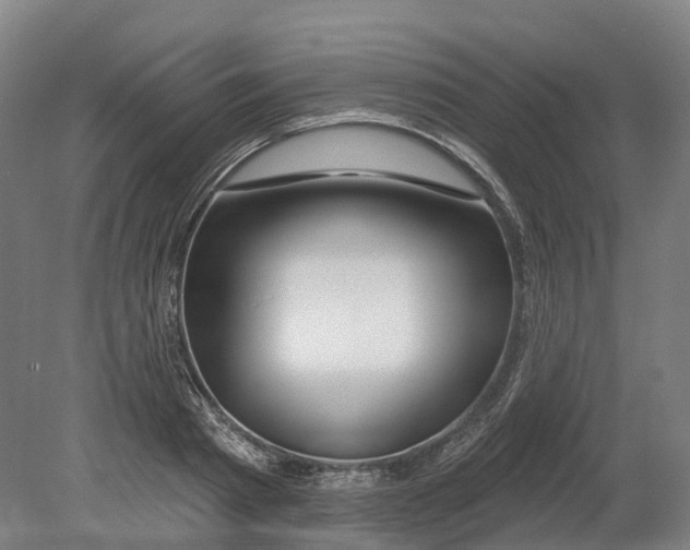 X0000080790793200701051352