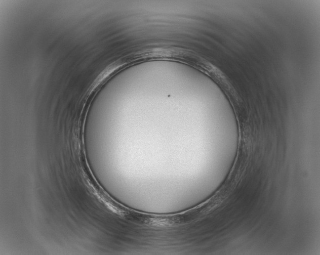 X0000080790794200701051352