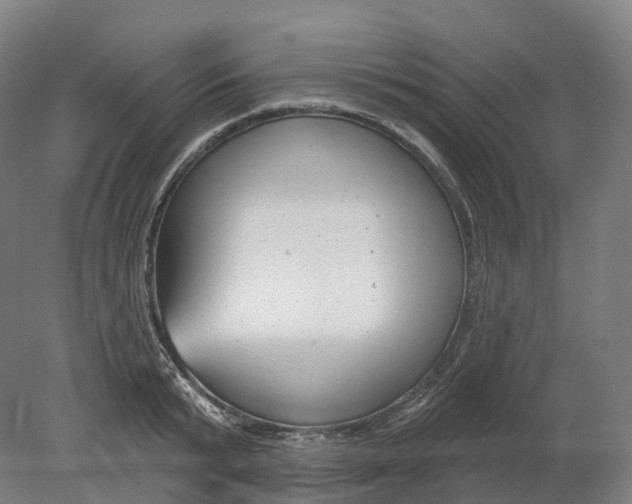 X0000080790799200701051352