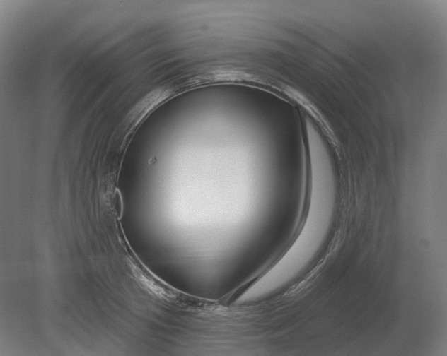 X0000080790801200701051352