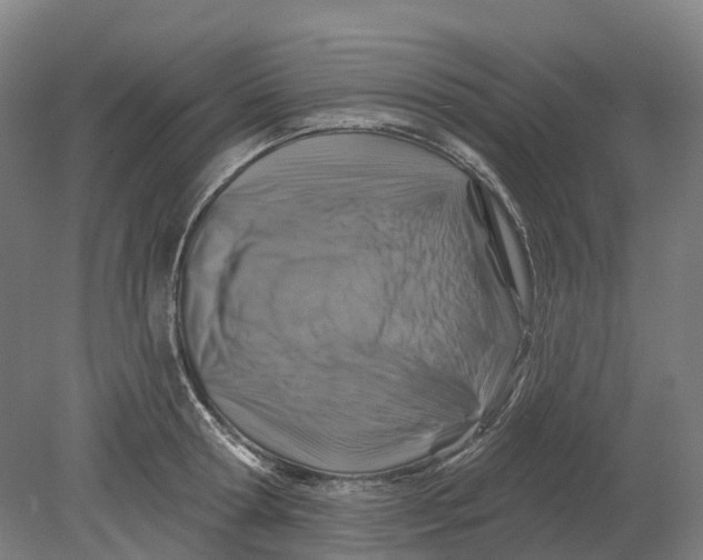X0000080790802200701051352