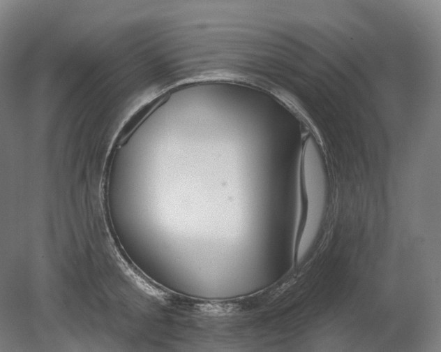X0000080790805200701051352