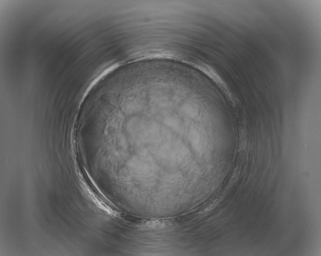 X0000080790806200701051352