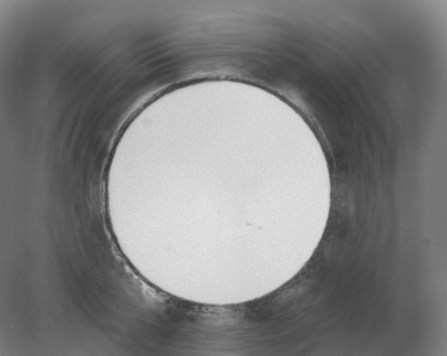X0000080790807200701051352