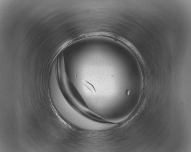 X0000080790809200701051352