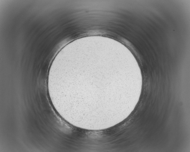 X0000080790810200701051352