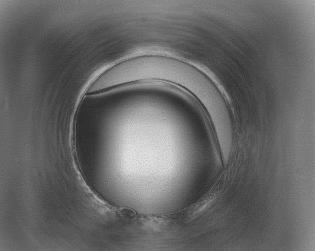 X0000080790815200701051352
