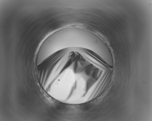 X0000080790816200701051352