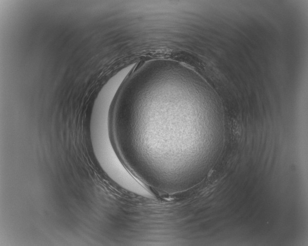 X0000080790818200701051351