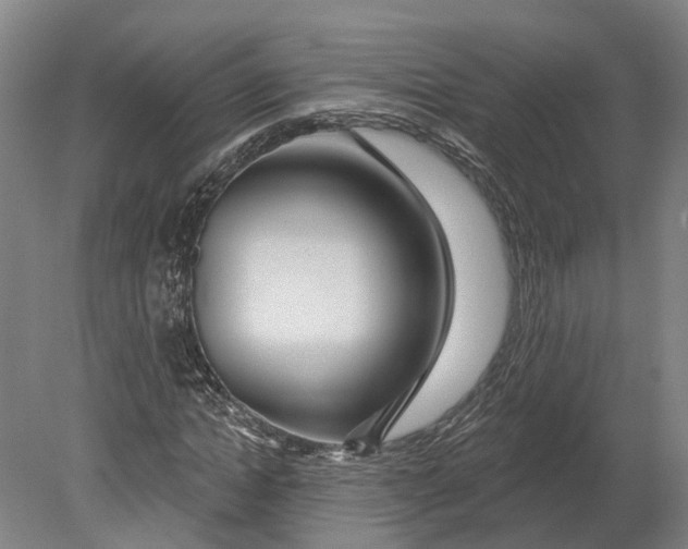 X0000080790822200701051351