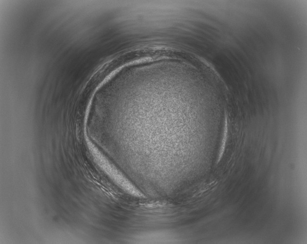 X0000080790823200701051351