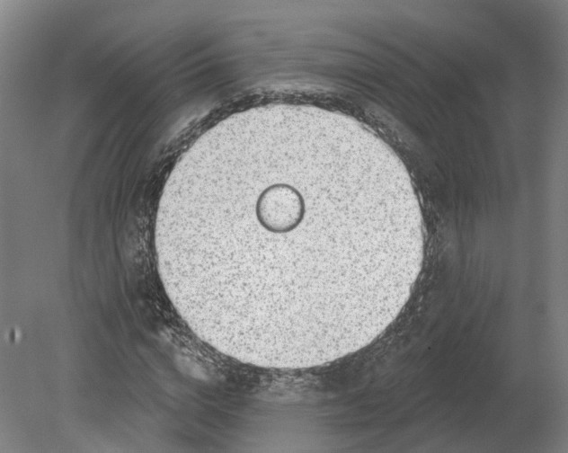 X0000080790824200701051351
