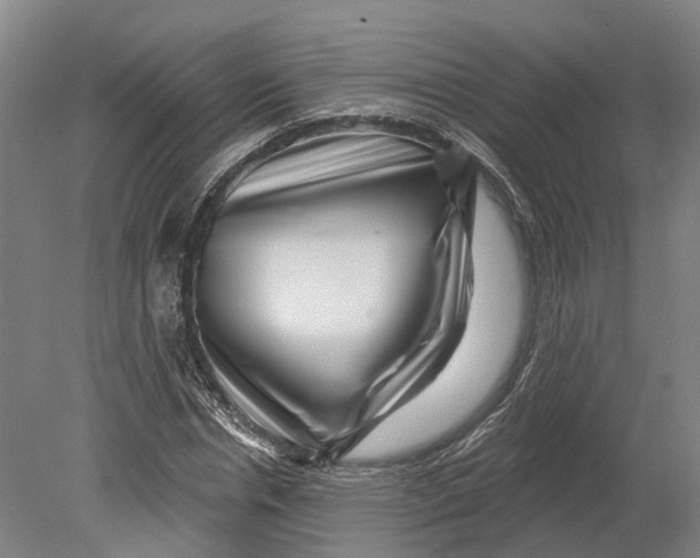 X0000080790826200701051351