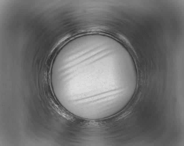 X0000080790827200701051351