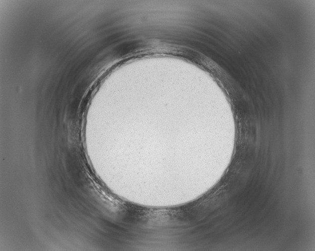 X0000080790828200701051351