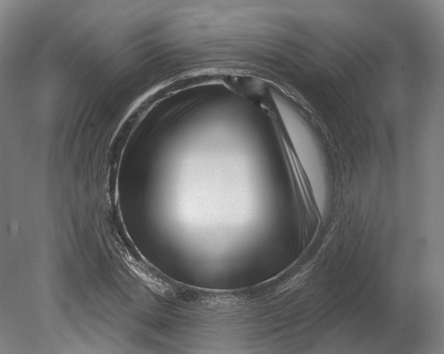 X0000080790830200701051351
