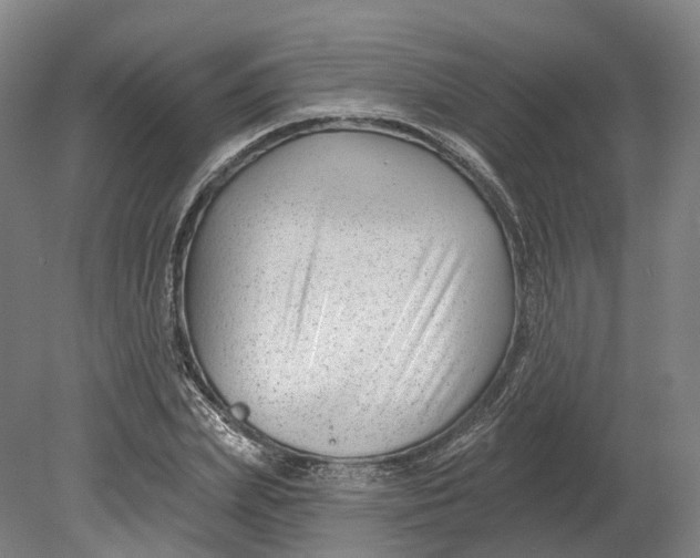 X0000080790831200701051351