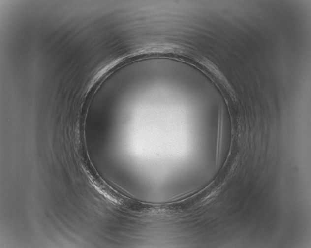 X0000080790834200701051351
