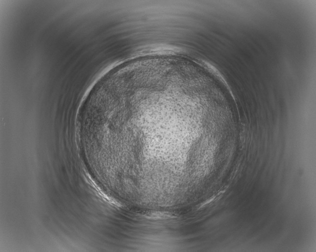 X0000080790835200701051351