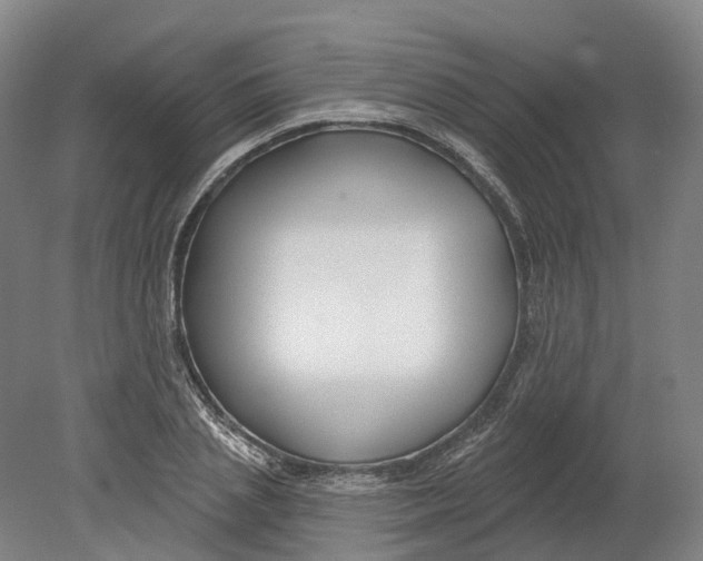 X0000080790837200701051351