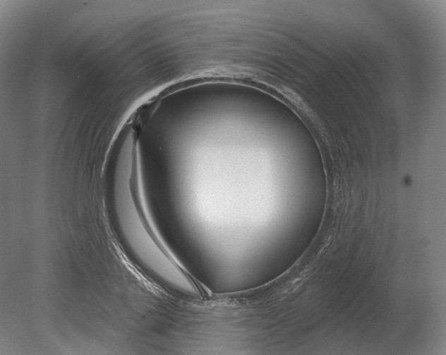 X0000080790838200701051351