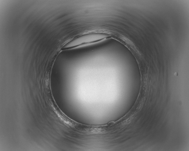 X0000080790841200701051351