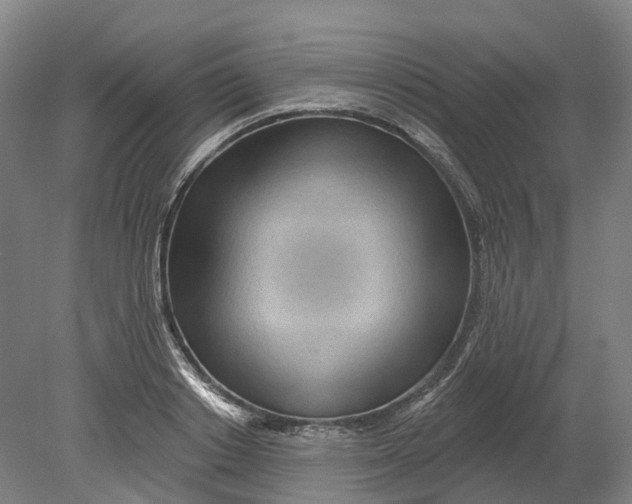 X0000080790842200701051351
