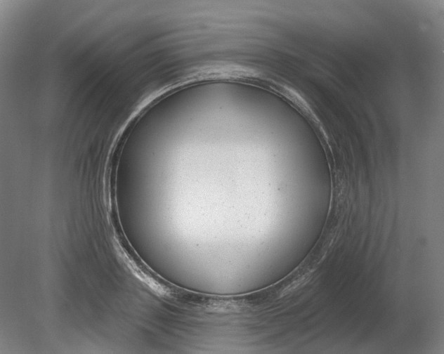 X0000080790843200701051351