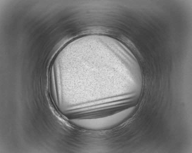 X0000080790844200701051351