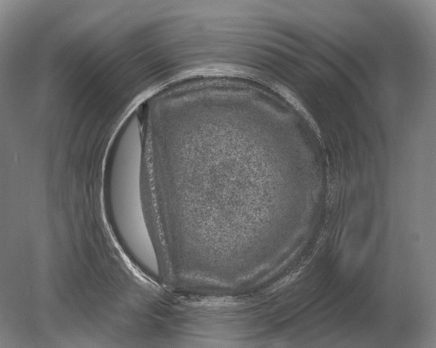 X0000080790845200701051351