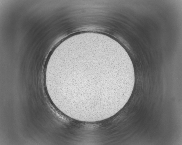 X0000080790848200701051351