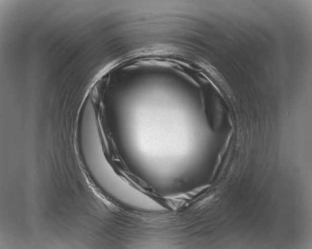 X0000080790850200701051351