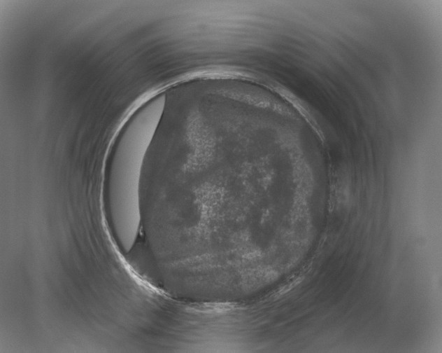 X0000080790853200701051351