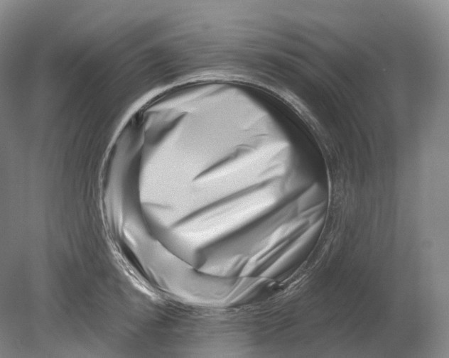 X0000080790854200701051351