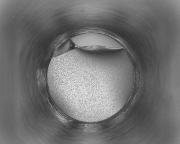 X0000080790857200701051352