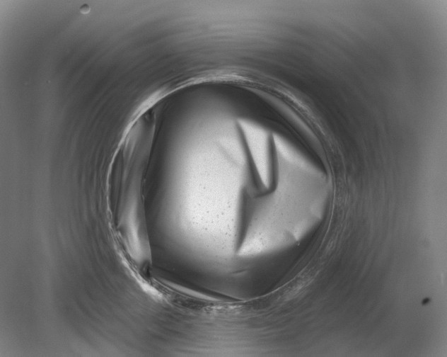 X0000080790858200701051352