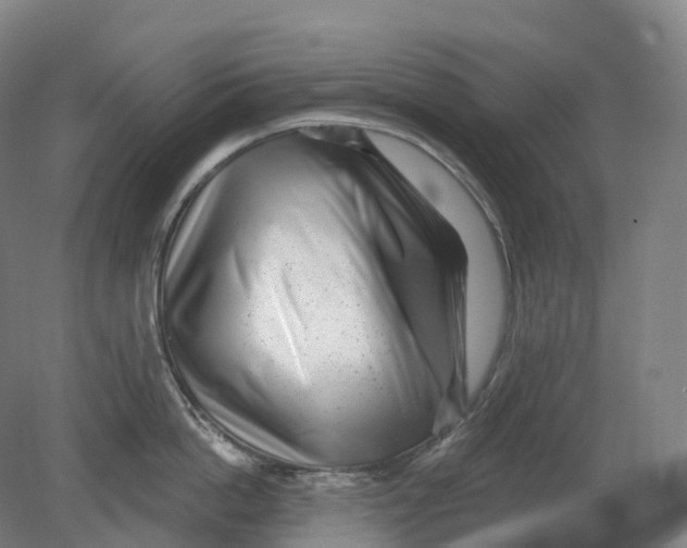 X0000080790862200701051352