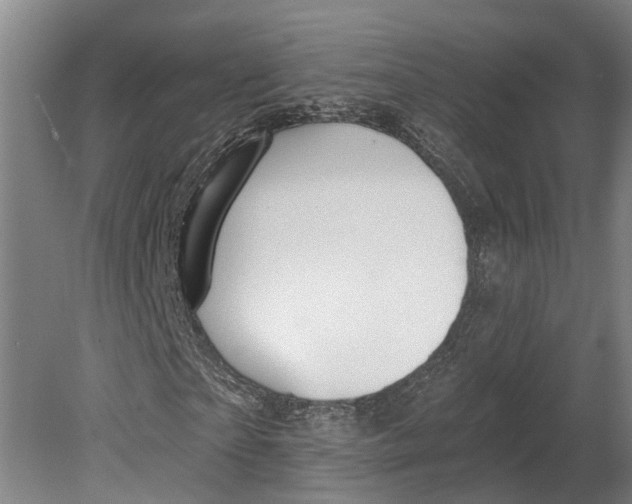 X0000080790865200701051351