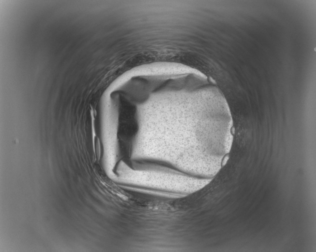 X0000080790866200701051351