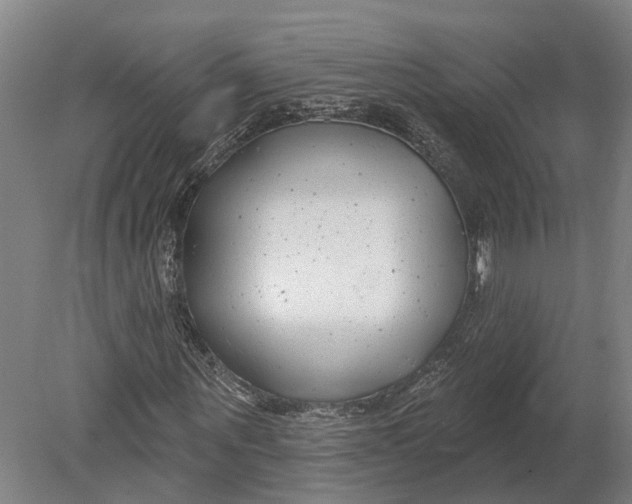 X0000080790867200701051351