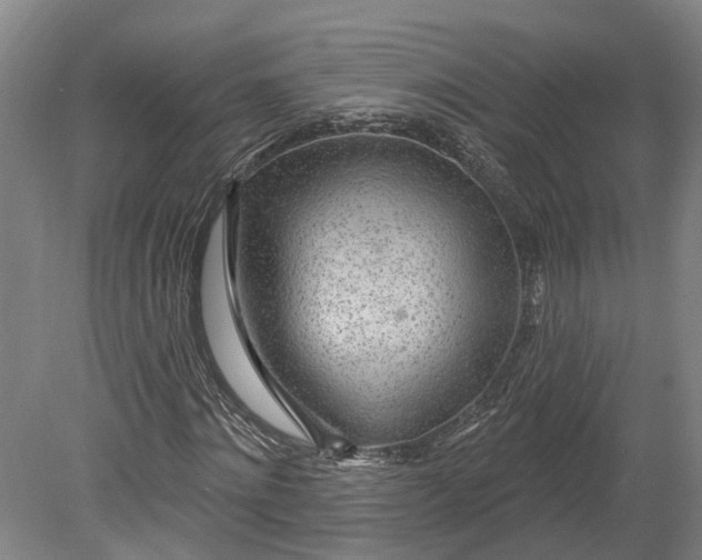 X0000080790868200701051351