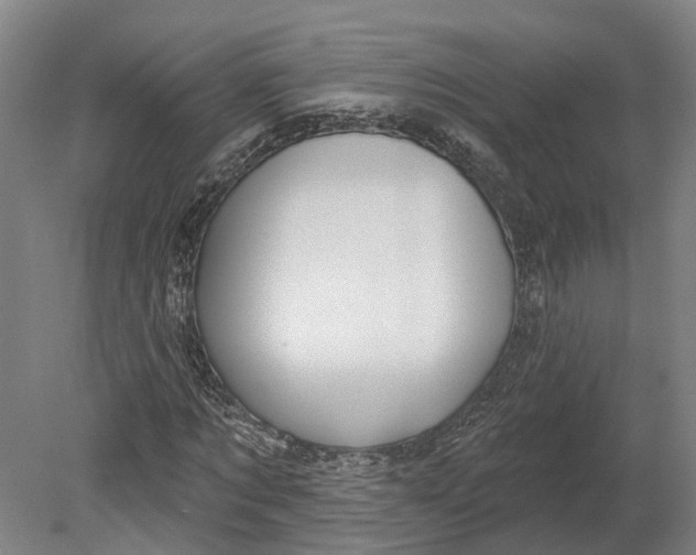 X0000080790869200701051351