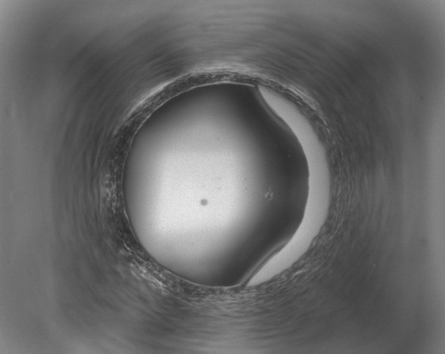 X0000080790872200701051351